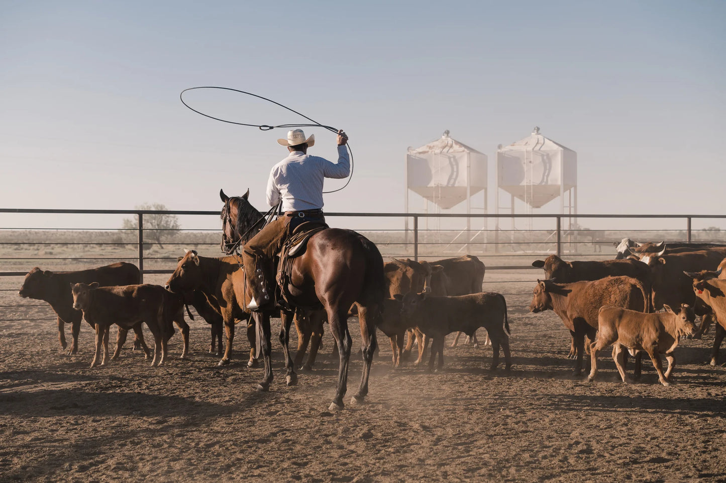 Ranchlands: By the Land, For the Land - Duke Phillips III & Madeline Jorden